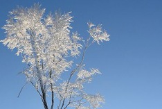 Meteorolojik olarak kışın başlangıcı 2014